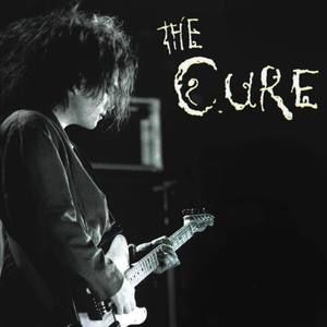 Meet your Posher, Rollie